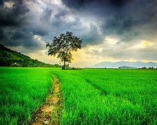 सब इंजीनियर वर्षा मिश्रा को रिश्वत लेते हुए EOW ने गिरफ्तार किया